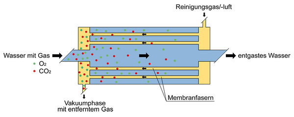 Prinzip Membranentgasung