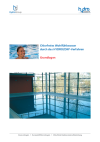 Schwimmbad-Wasseraufbereitung Grundlagen